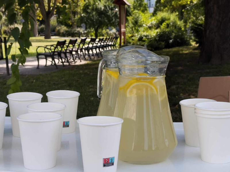 Sokan limonádéztak velünk