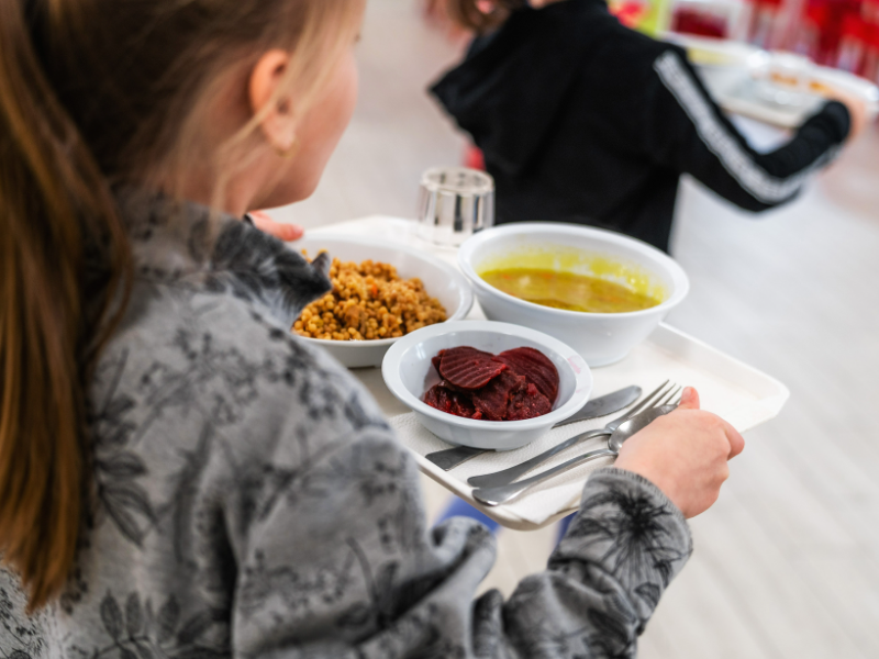 Normál közétkeztetés